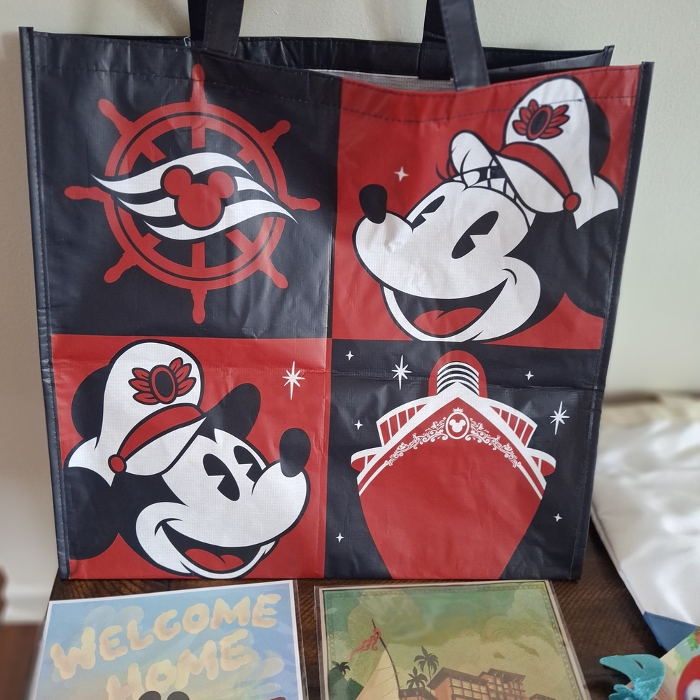 Disney Castaway Club Platinum Gift Set + DVC Items - Picture 11 of 11